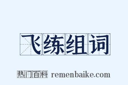 飞练组词是什么意思的图片